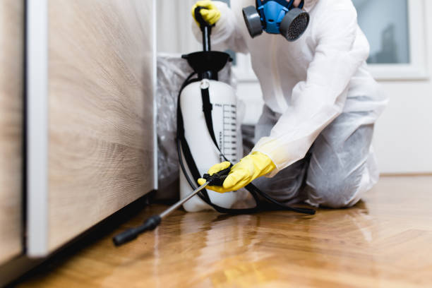 Flea Control Services in Keno, OR