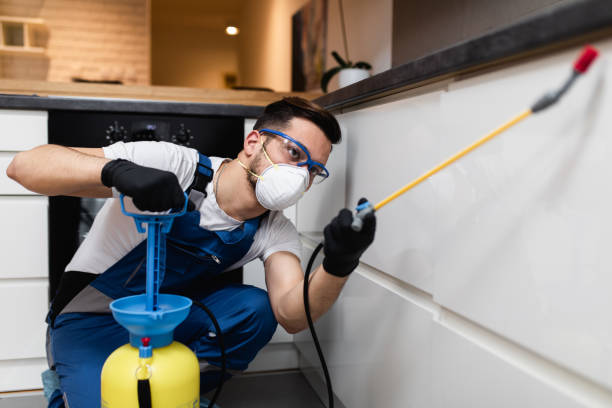 Best Local Pest Control Services  in Keno, OR
