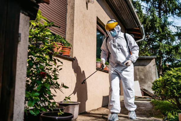 Best Affordable Pest Control Services  in Keno, OR