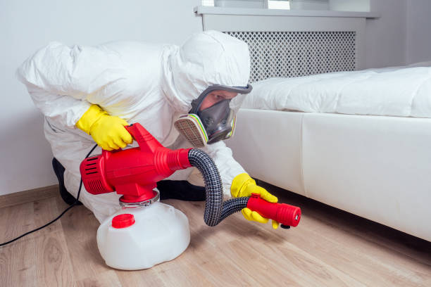 Trusted Keno, OR Pest Control Experts