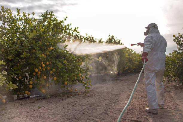 Best Emergency Pest Control  in Keno, OR