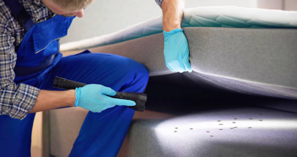 Best Cockroach Control Services  in Keno, OR